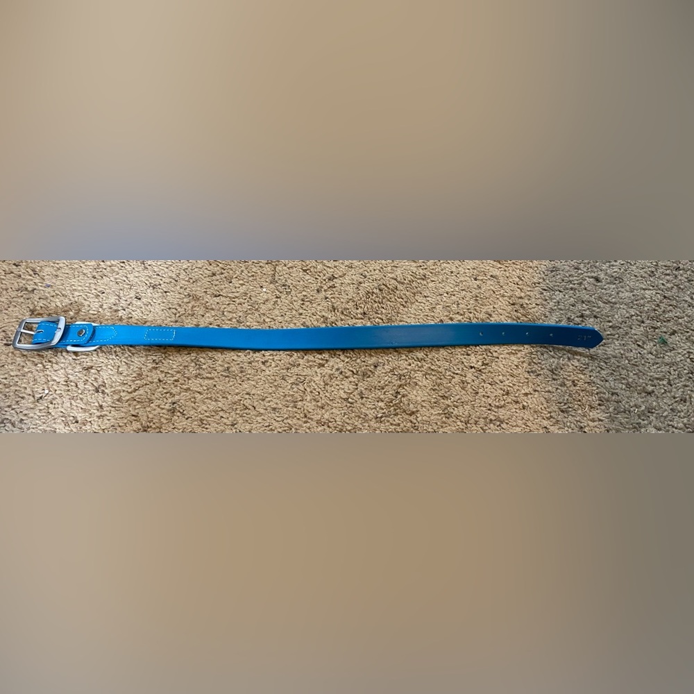 Teal Dig Collar Size 21 inches